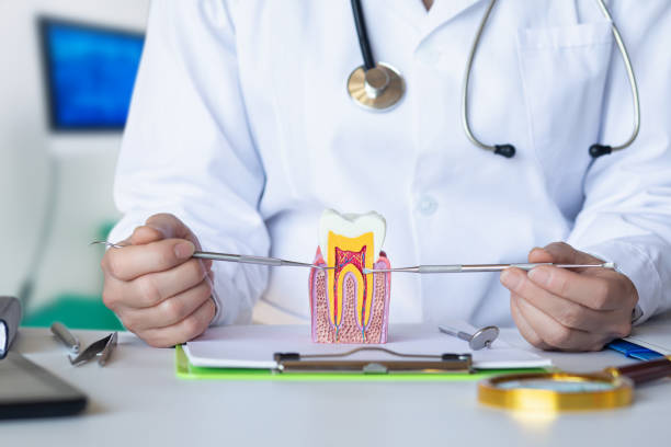 Best Dental Abscess Treatment in Tahoma, CA